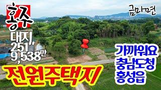 홍성 전원주택지, 주말주택지 매매, 지목 대지, 홍성읍 충남도청 가까워요. 충남 홍성군 금마면 신곡리 위치 지목 변경이 바로 집을 지으면 됨. 축사 산 너머에 있어 영향 없어요