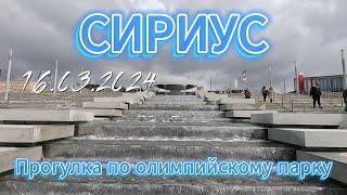 #сочи СИРИУС/ОЛИМПИЙСКИЙ ПАРК/АДЛЕР 2024