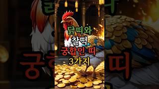 닭띠와 철떡 궁합인 띠 3가지 #닭띠 #닭띠궁합 #닭띠운세