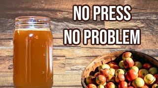 Make Cider Without a Press | From Fresh Apples