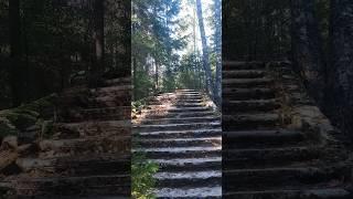 Лестница особняка Биенковского. Лоунатъйоки - Леовилла - Заходское.  #1939 #археология #история