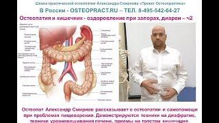 Остеопатия и кишечник – оздоровление при запорах, диареи, метеоризме