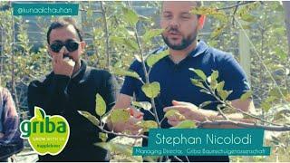 pruning on Red velox/M9 by STEPHAN NICOLODI M. D. #Griba_Baumschulgenossenschaft @letsgrowapple