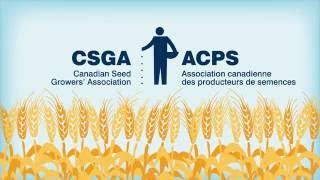 How is Canadian Certified Seed Produced?