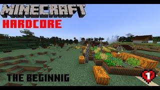 Minecraft Hardcore Survival  Gameplay #1  l  1. The Beginning  l  Gaming Studio