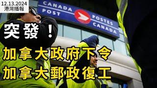 突發！聯邦政府下令加拿大郵政結束罷工 下週復工 ；太亂了！BC省購物中心、大學、住宅街道一夜42輛車被砸；大跌眼鏡！加拿大驚爆50印度人擠住一間房（《港灣播報》20241213-1 CACC）