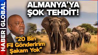 Dünya'da Yeni Gerilim: Almanya'yı Fillerle Tehdit Ettiler!