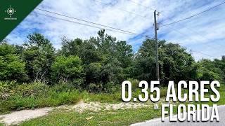 Sunlit 0.35 Acre Parcel with Road Access & Electricity | | Newport Ritchie, FL - $41,999