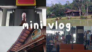 Mini vlog: domingo 7/5/23  - Bia Zipf