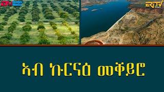 ኣብ ኩርናዕ መቐይሮ - መኣዝን ልምዓት | meazin limeat - Nearing a pivotal moment - ERi-TV