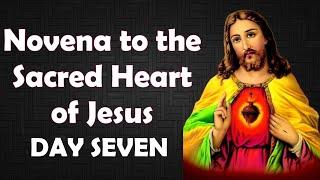 Novena to the Sacred Heart of Jesus – Day 7 | The Heart of Sacrifice
