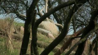 Faszinierende Natur - Raues Mecklenburg-Vorpommern