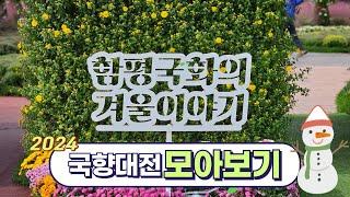 2024 대한민국 국향대전 함평 국화축제 가을 여행 미리보는 크리스마스