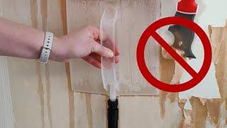 Avoid These 6 Wallpaper Removal Mistakes