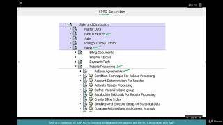 SAP SD Advanced Training 4.5 Rebate Config   1