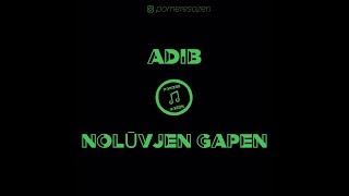 Adib - Nolūvjen gapen / LYRICS VIDEO / Pomere Sozen