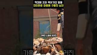 쓰러진 말과 무관심한 주인, 지나가던 남자의 선택은..