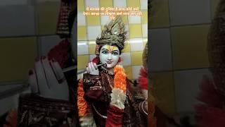 Tumhein meri mandir || #krishna #radha #rani #parikrama #paharganj #arambagh #mandir #viral #shorts