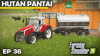 BUFFALO MILK IS WORTH A FORTUNE! | Farming Simulator 25 - Hutan Pantai | Episode 36