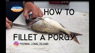 How To Fillet A Porgy / Scup For Boneless Fish Tacos