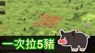 AOE2DE世紀帝國2決定版，高手操作一次拉5豬2狼