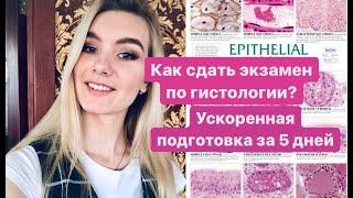 КАК ПОДГОТОВИТЬСЯ К ЭКЗАМЕНУ ПО ГИСТОЛОГИИ С НУЛЯ ЗА 5 ДНЕЙ?// Как выучить гистологию в медицинском?