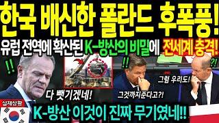 [해외감동사연] 한국 배신한 폴란드의 최후! 한국 무기보다 더 무서운 이것에 폴란드 벌벌 떠는 이유! 폴란드 사태 EU 후폭풍에 전세계 충격!