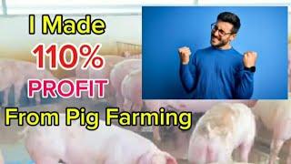 How I Made Over 110% Profits in Pig Farming Business | SUCCESS STORY