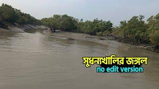 সুধন্যখালি জঙ্গল সাফারি | Sudhannyakhali jungle safari | royal bengal tiger | Sundarban