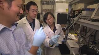Breakthrough Innovation of the Year:  Huang, Wei, Wei