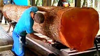 Overcoming the dilemma in Sawing large logs using a hammer