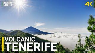 Tenerife 4K | Explore Volcanic Peaks, Ocean Views & Island Calm!