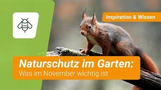 Naturschutz im Garten im November