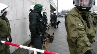 Polizeihunde über ihren Job