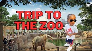 My Baby 1st Trip To The ZOO Vlog * Funny Reaction To Animals *