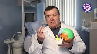 Твердая пища и ВНЧС. Врач-гнатолог Александр Хамчишкин