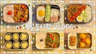 [VLOG] ･｡ﾟ간단주 6일 도시락 싸기(･ω･)찹스테이크, 참치 오이 덮밥, 연어 포케, 멸추 계란김밥, 고추고기잡채밥️, 구운계란 카레