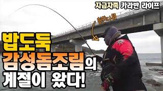 밥도둑 감성돔 조림의 계절! [캠낚세끼] / 추자도 낚시n캠핑 / caravan / camping car / Fishing / 캠핑카