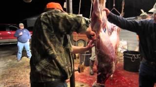 Cleaning a deer in under 4 minutes