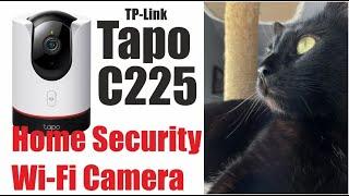 TP-Link Tapo C225 security camera. A Day in the Life BlackcatMajk #blackcatmajk #TP-LinkTapoC225