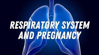 Respiratory system and pregnancy #doctorberezovska #olenaberezovska #pregnancy