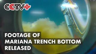 Chinese Scientist Releases Footage of Mariana Trench Bottom