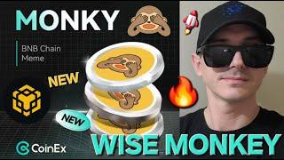 $MONKY - WISE MONKEY TOKEN CRYPTO COIN HOW TO BUY MONKY MEMECOIN BNB BSC PANCAKESWAP MEXC KUCOIN NEW