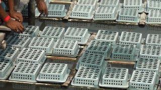 Starting a Business - Crab Farming technology in Boxes and How to Start a Business in Crab Farming