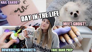 DOWN SIZING MY COLLECTION - New Dog, Studio Organizing / Day In The Life VLOG