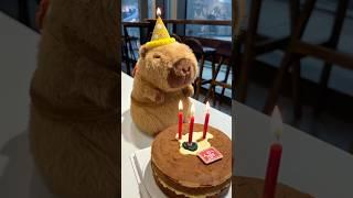 Happy birthday to Mr.Capybara~ #cute #capybara #funnyanimals #healing #happybirthday