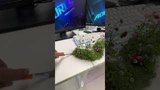 Blender 3d: Watch Plants Burst To Life With Stunning Growth Effects
