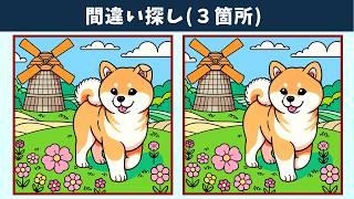 【間違い探し】難問脳トレに挑戦して記憶力・認知力向上！子どもから高齢者まで幅広く楽しめるレクリエーション動画！【難問】