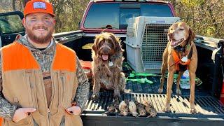 North Alabama Woodcock Hunting (Additional Duck and Deer Hunt)