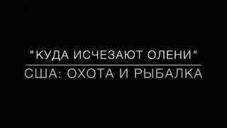 Куда исчезают белохвостые олени?